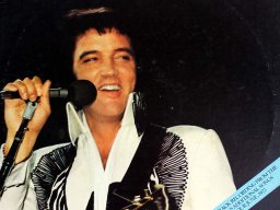 Elvis In Concert 1977